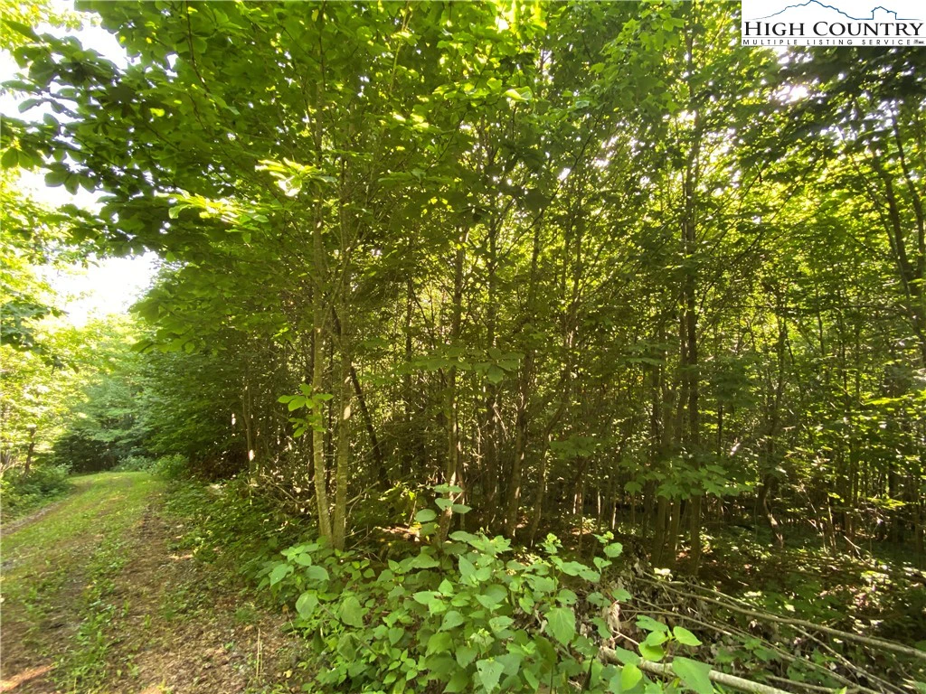 Image number 9 for the current listing