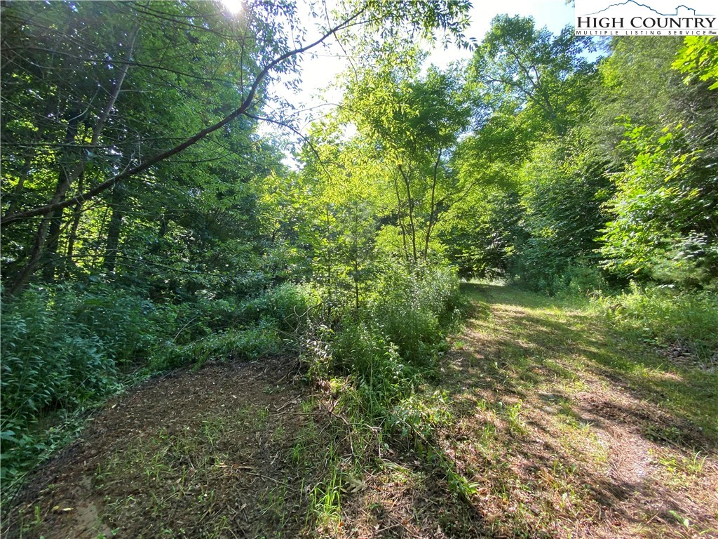 Image number 10 for the current listing