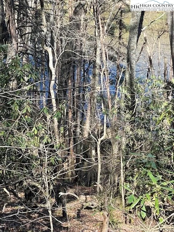 Image number 6 for the current listing