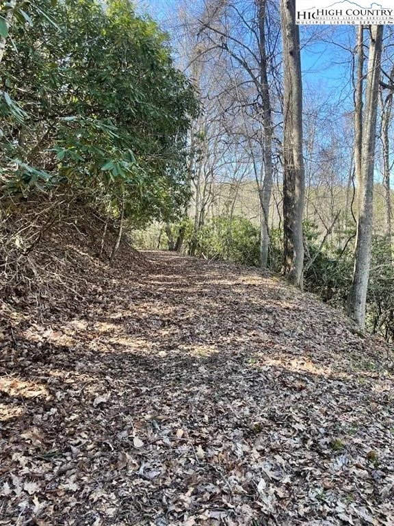 Image number 7 for the current listing