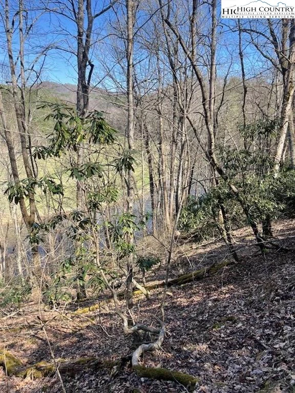 Image number 10 for the current listing