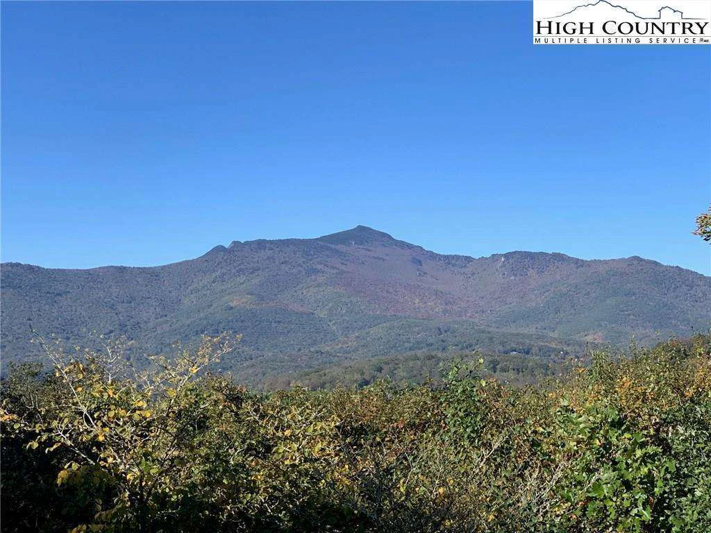 Image number 1 for the current listing