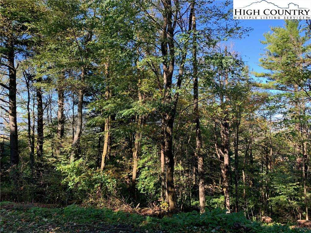 Image number 3 for the current listing