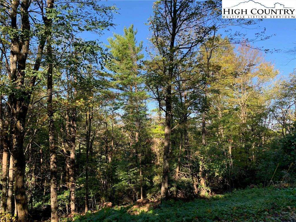 Image number 4 for the current listing