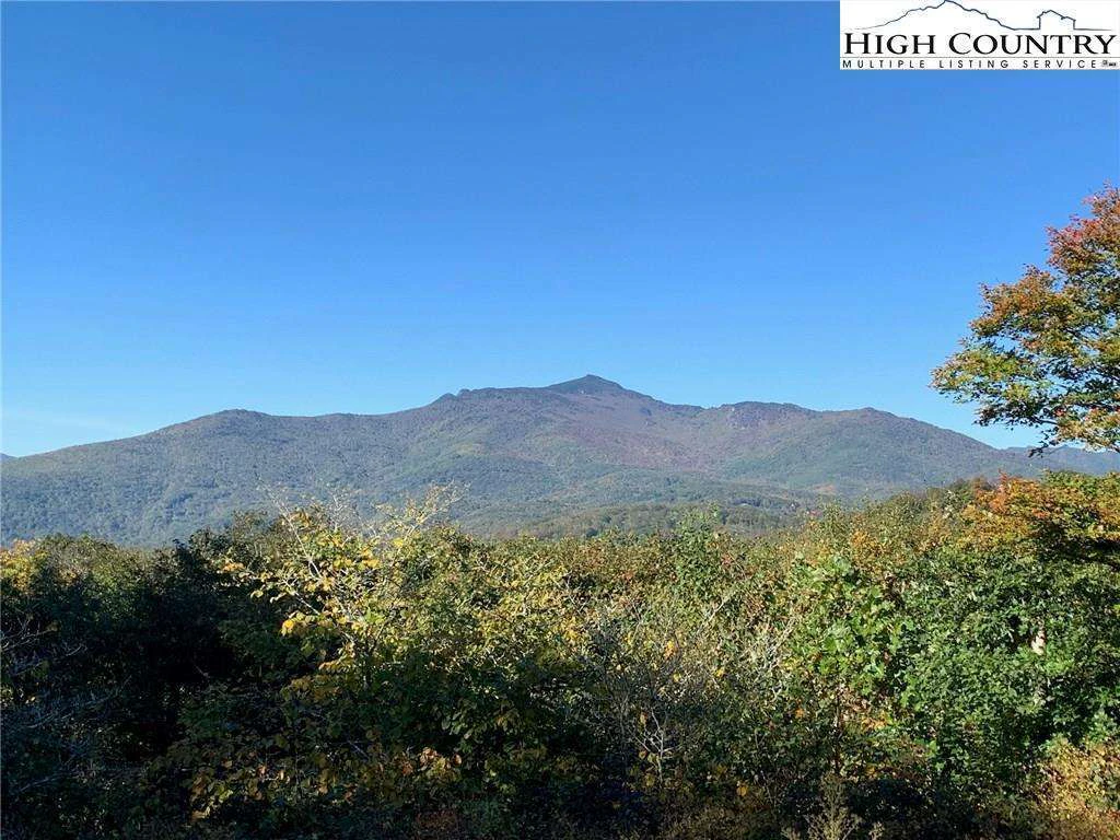Image number 5 for the current listing