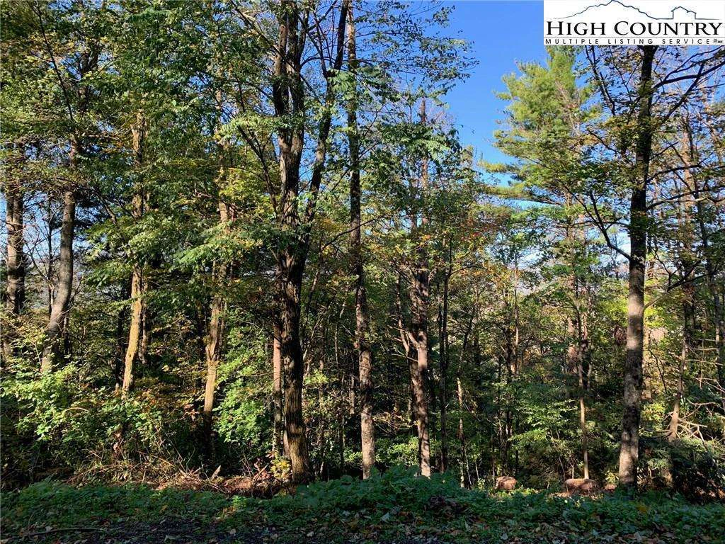 Image number 6 for the current listing