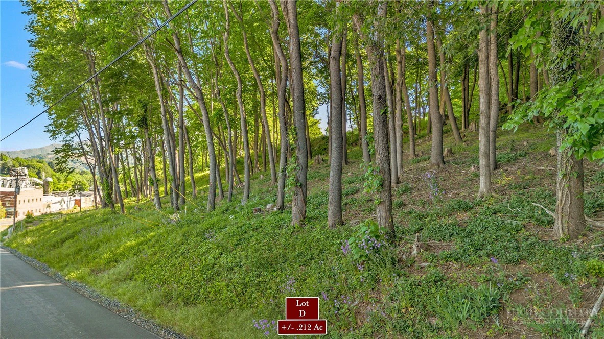 Image number 2 for the current listing