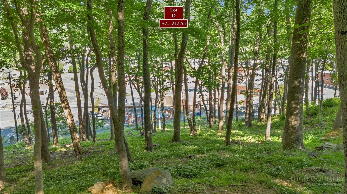 Image number 3 for the current listing