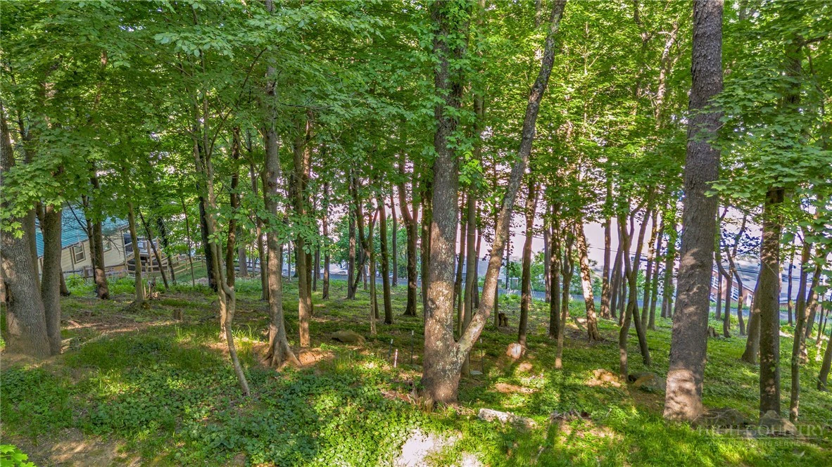 Image number 9 for the current listing