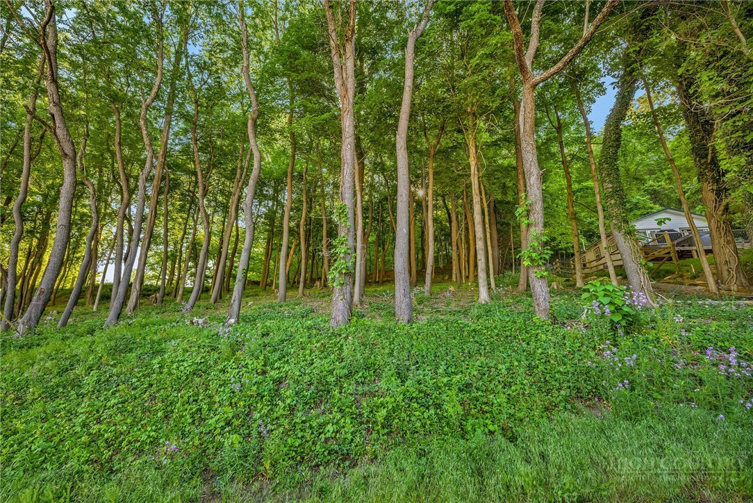 Image number 11 for the current listing