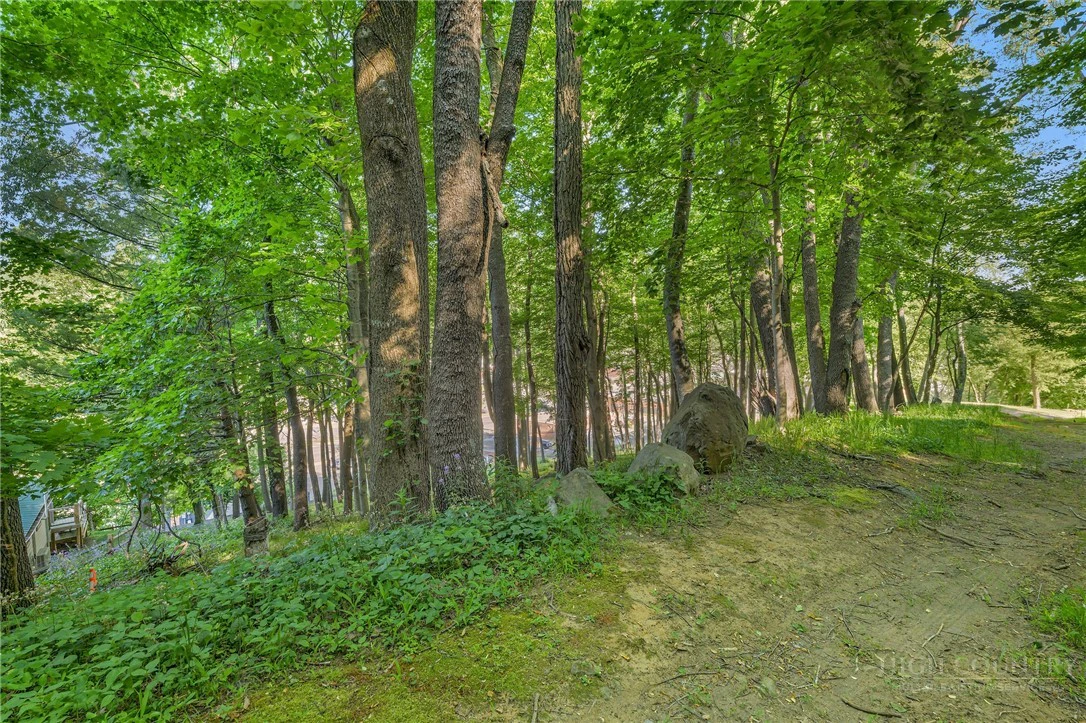Image number 13 for the current listing