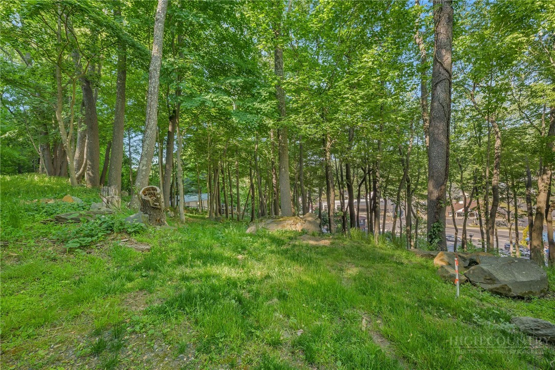 Image number 14 for the current listing
