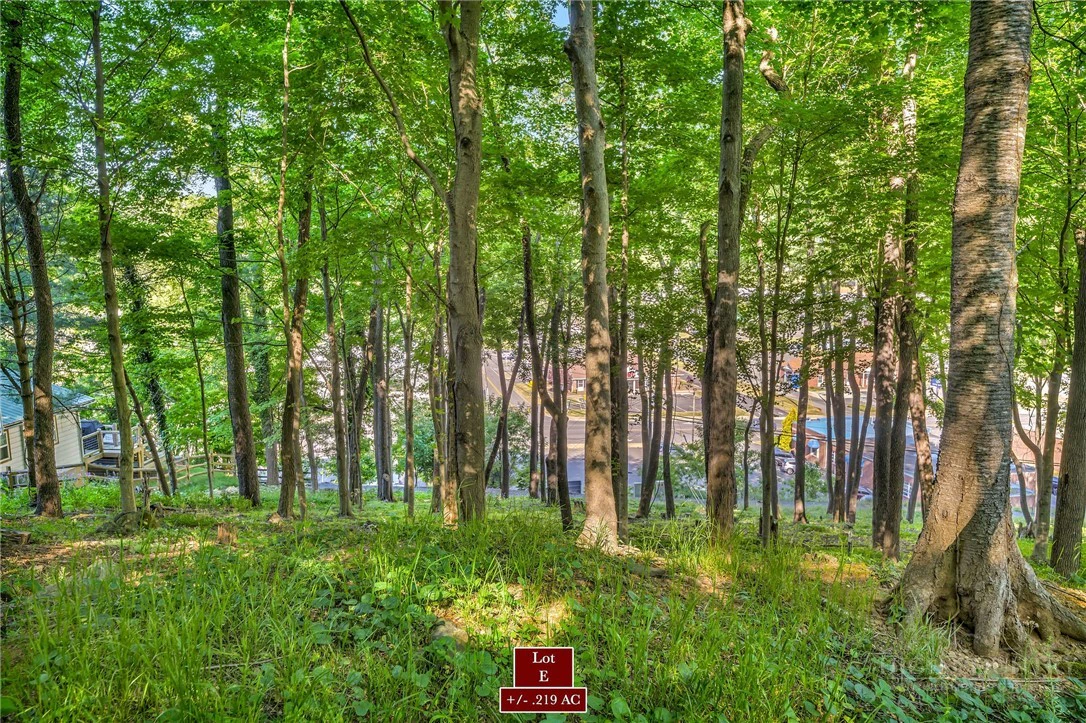 Image number 2 for the current listing