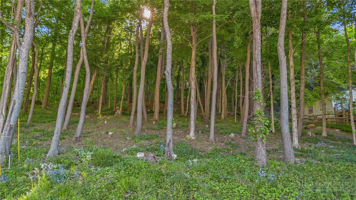 Image number 5 for the current listing
