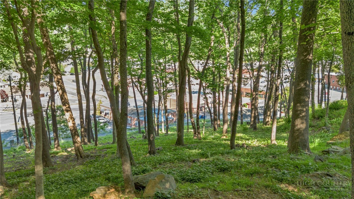 Image number 8 for the current listing