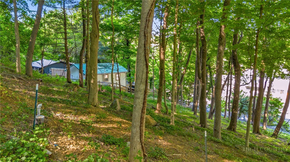Image number 9 for the current listing