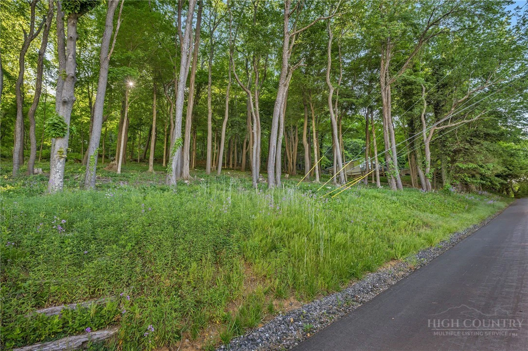 Image number 11 for the current listing