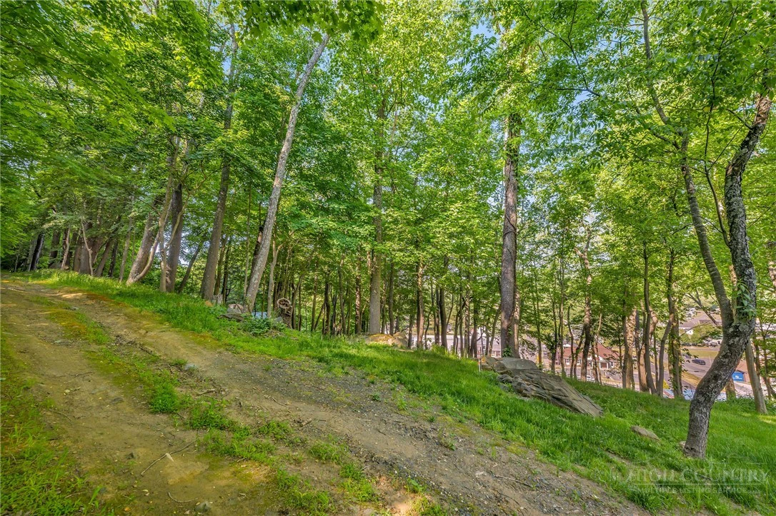 Image number 13 for the current listing