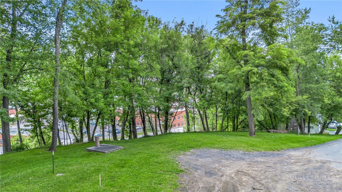 Image number 2 for the current listing