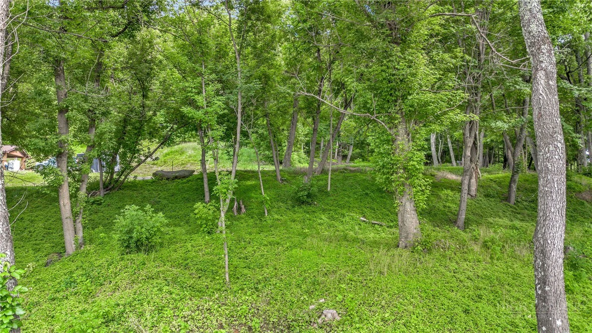 Image number 4 for the current listing