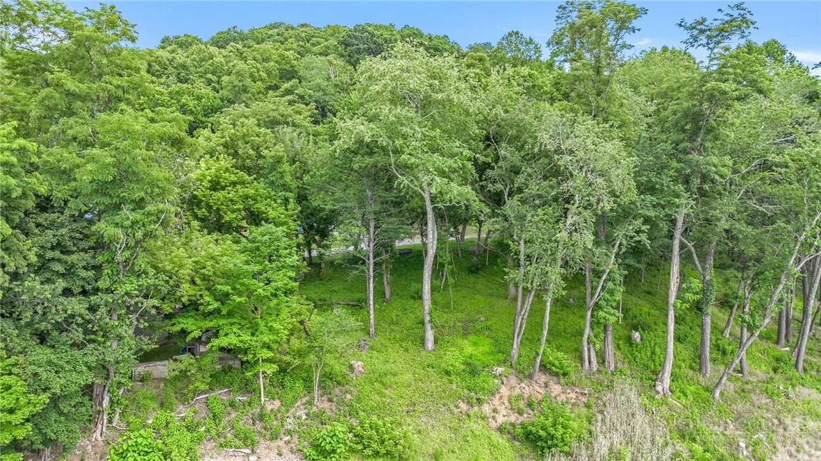 Image number 7 for the current listing