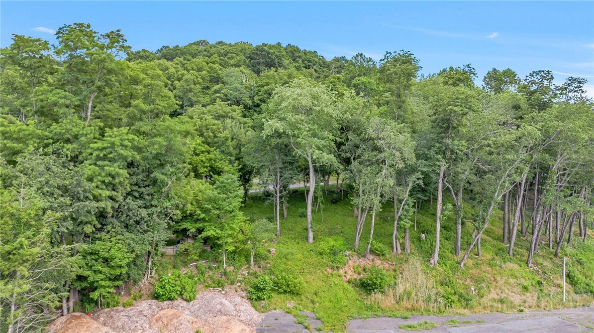 Image number 8 for the current listing