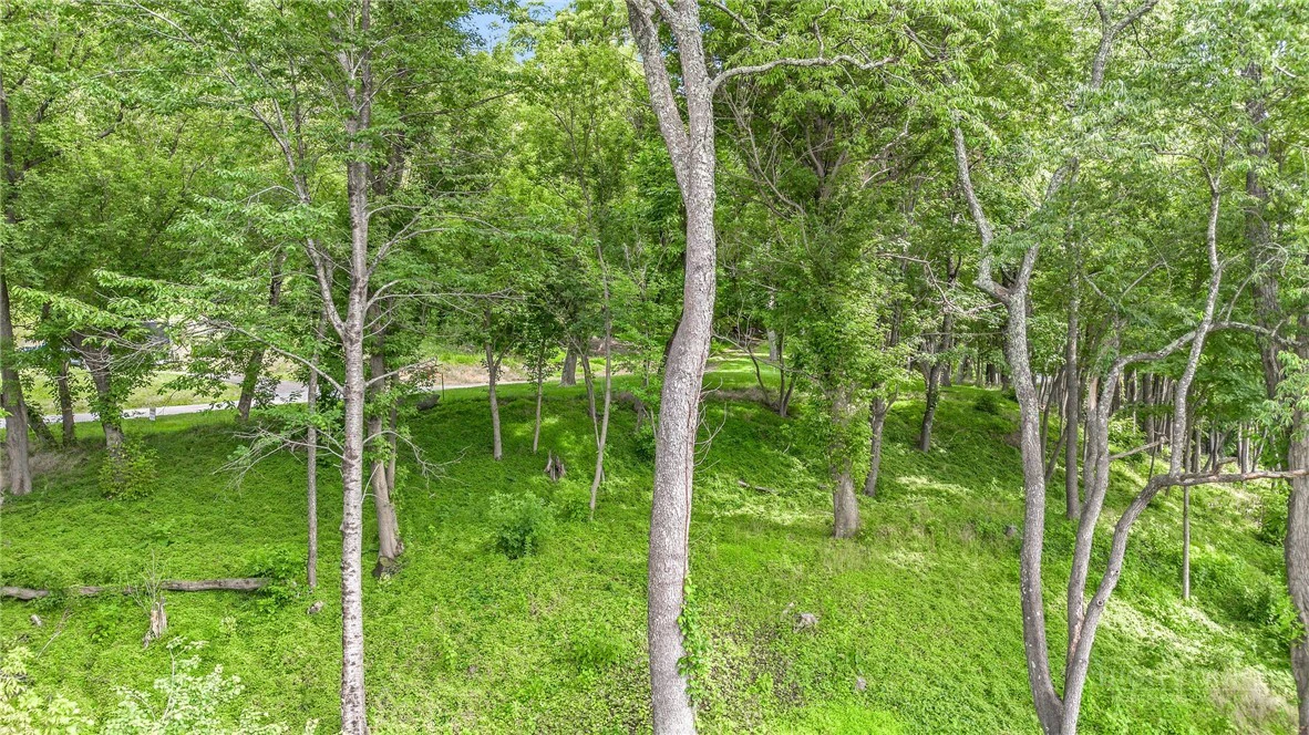 Image number 9 for the current listing