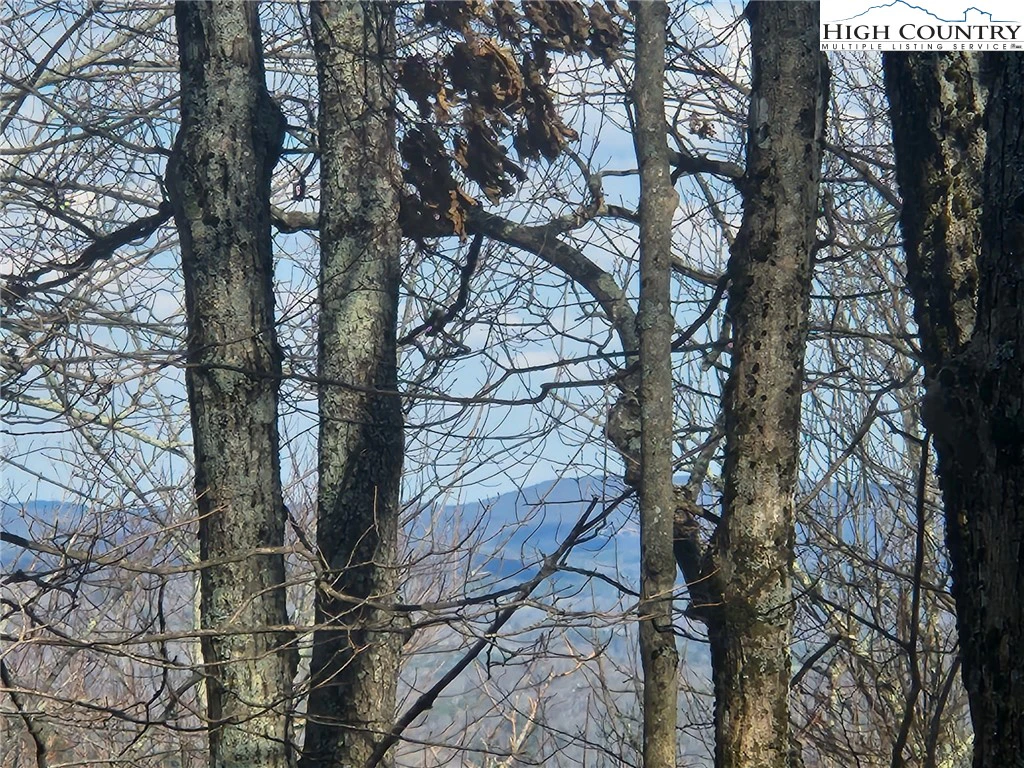Image number 3 for the current listing