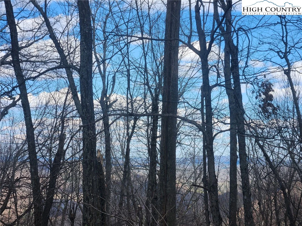 Image number 5 for the current listing