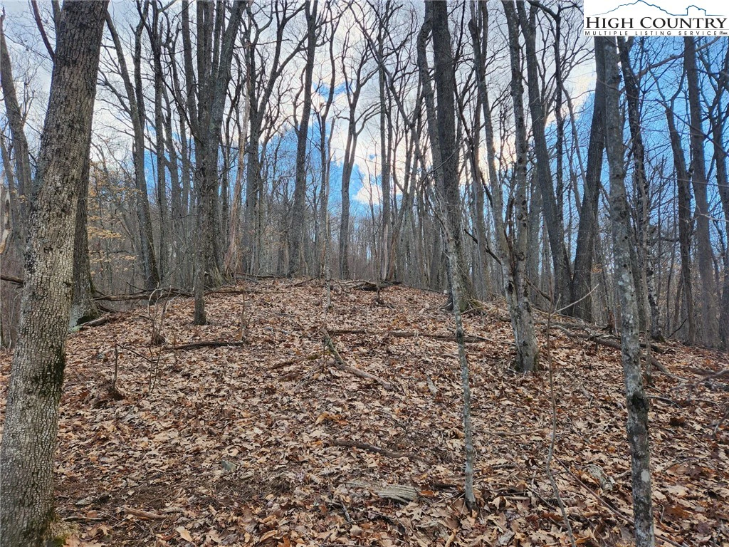 Image number 9 for the current listing
