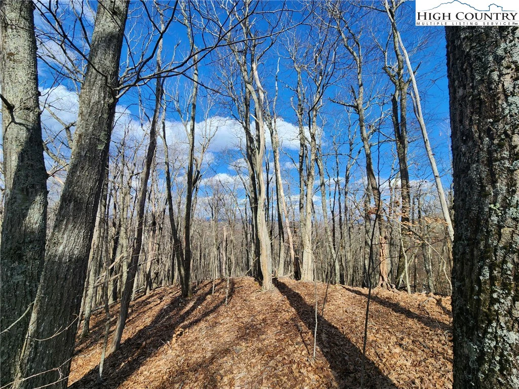 Image number 1 for the current listing
