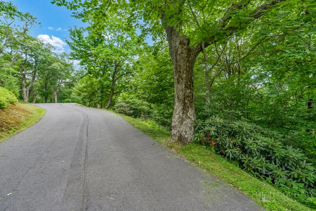 Image number 1 for the current listing