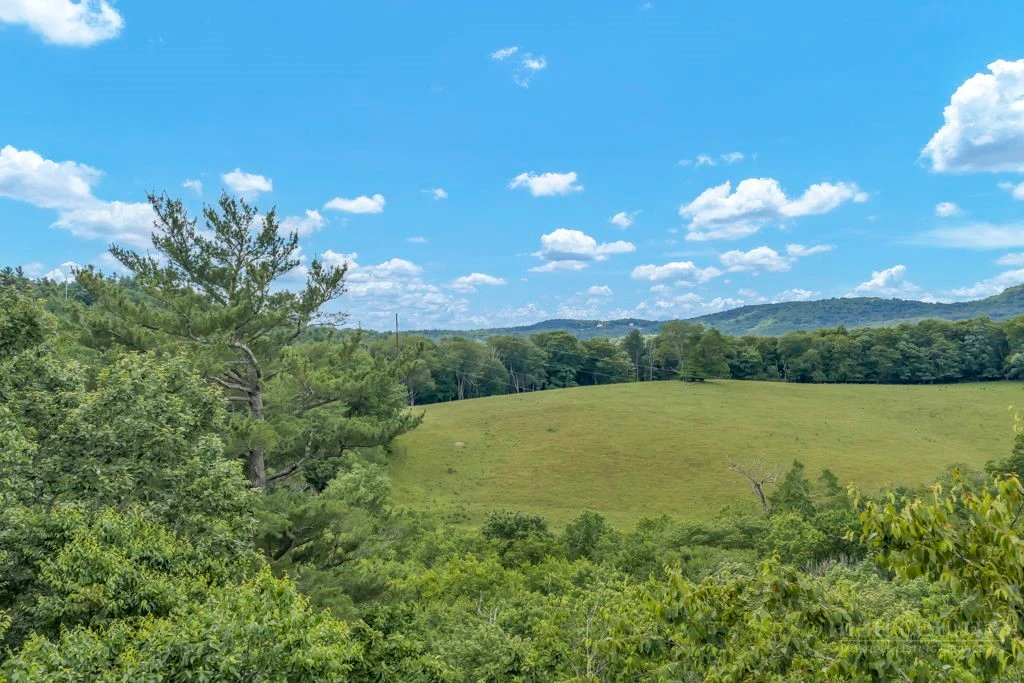 Image number 4 for the current listing