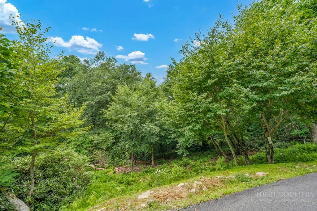 Image number 6 for the current listing