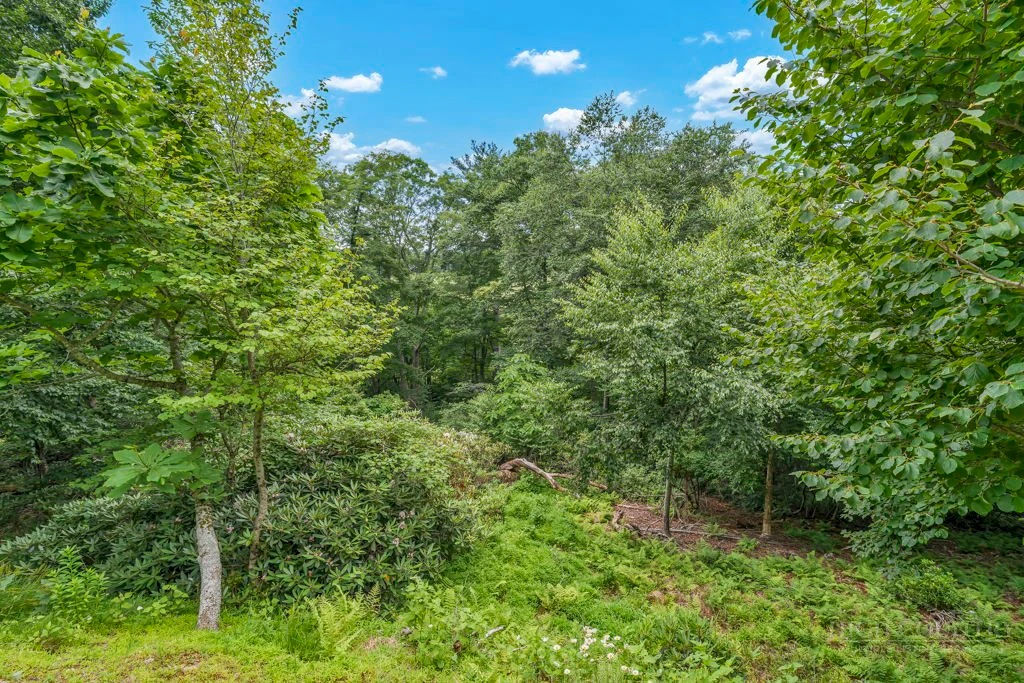 Image number 7 for the current listing