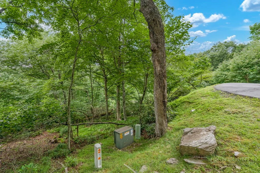 Image number 8 for the current listing