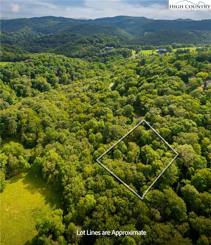 Image number 1 for the current listing