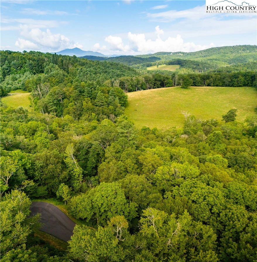Image number 13 for the current listing