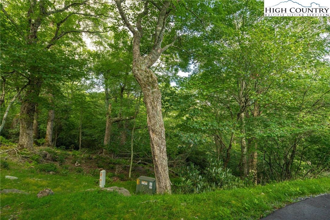 Image number 2 for the current listing
