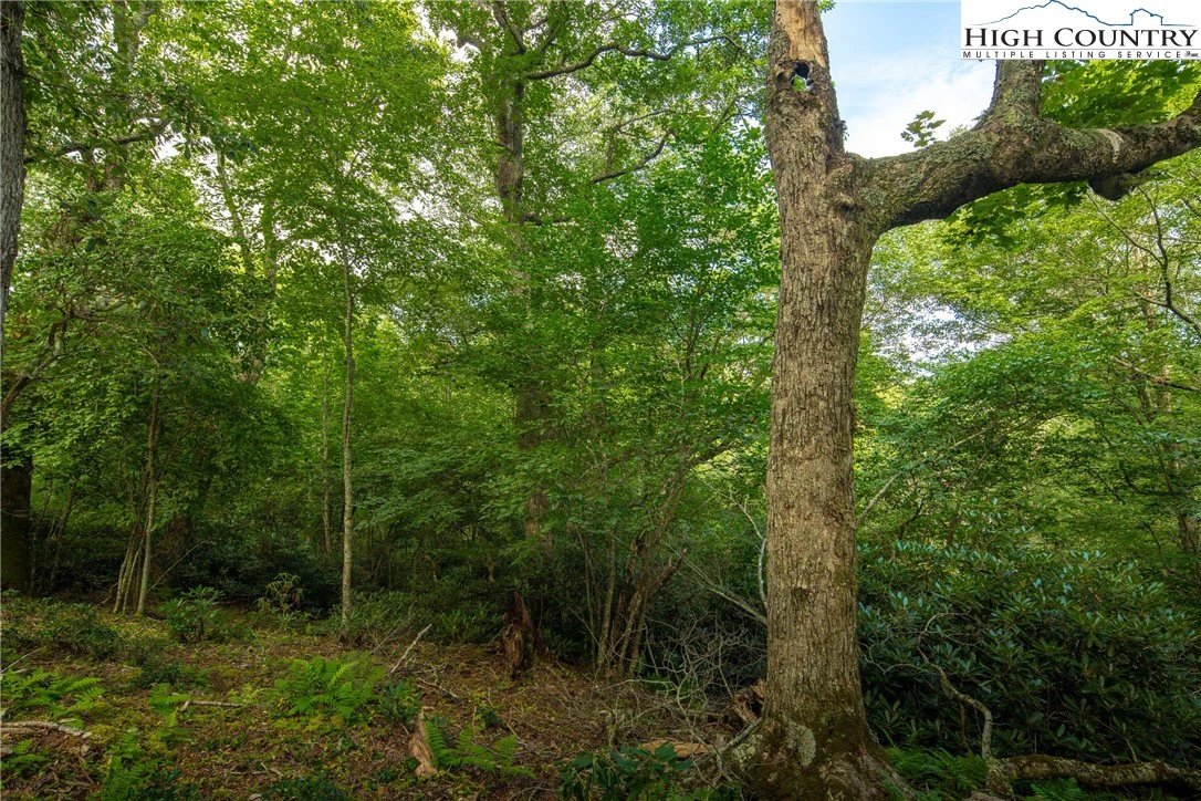 Image number 21 for the current listing