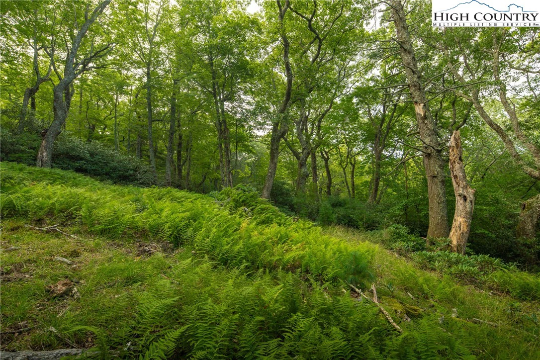 Image number 11 for the current listing