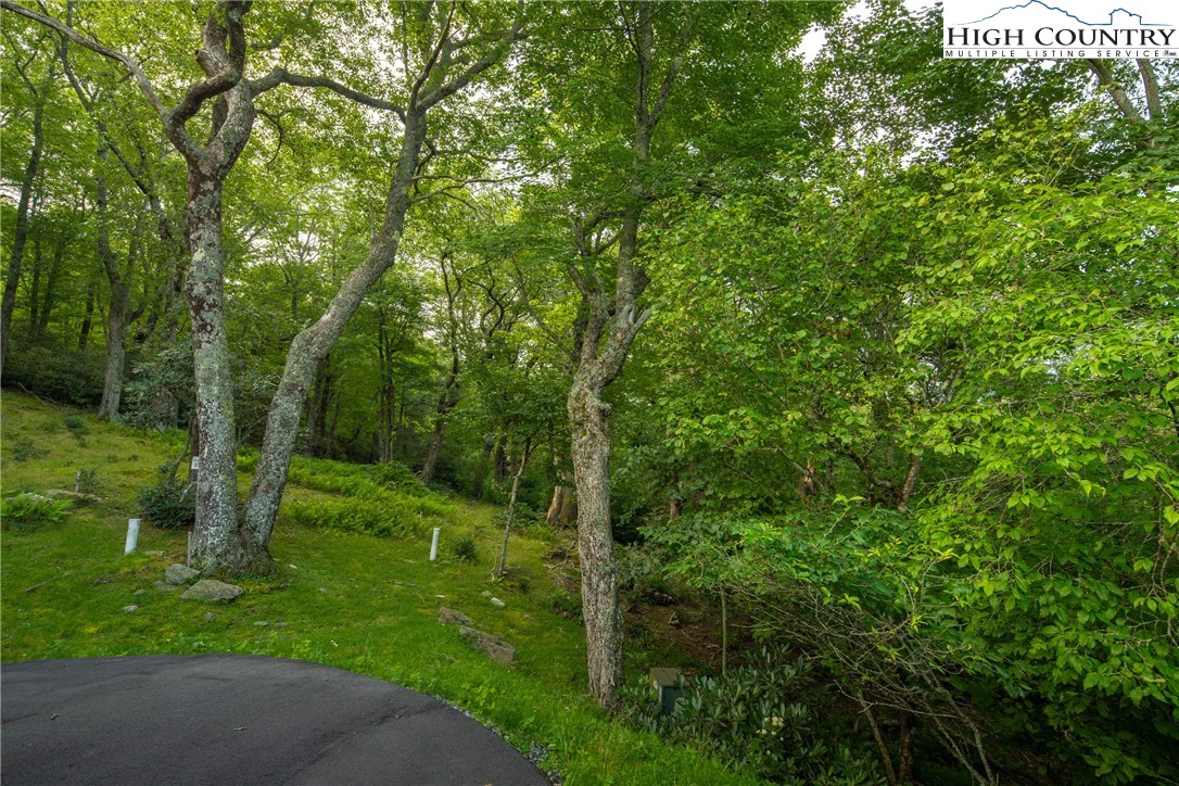 Image number 10 for the current listing