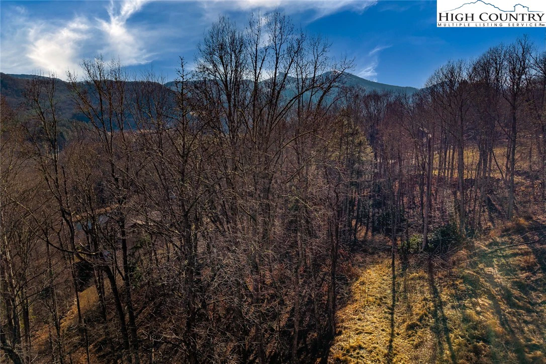 Image number 2 for the current listing