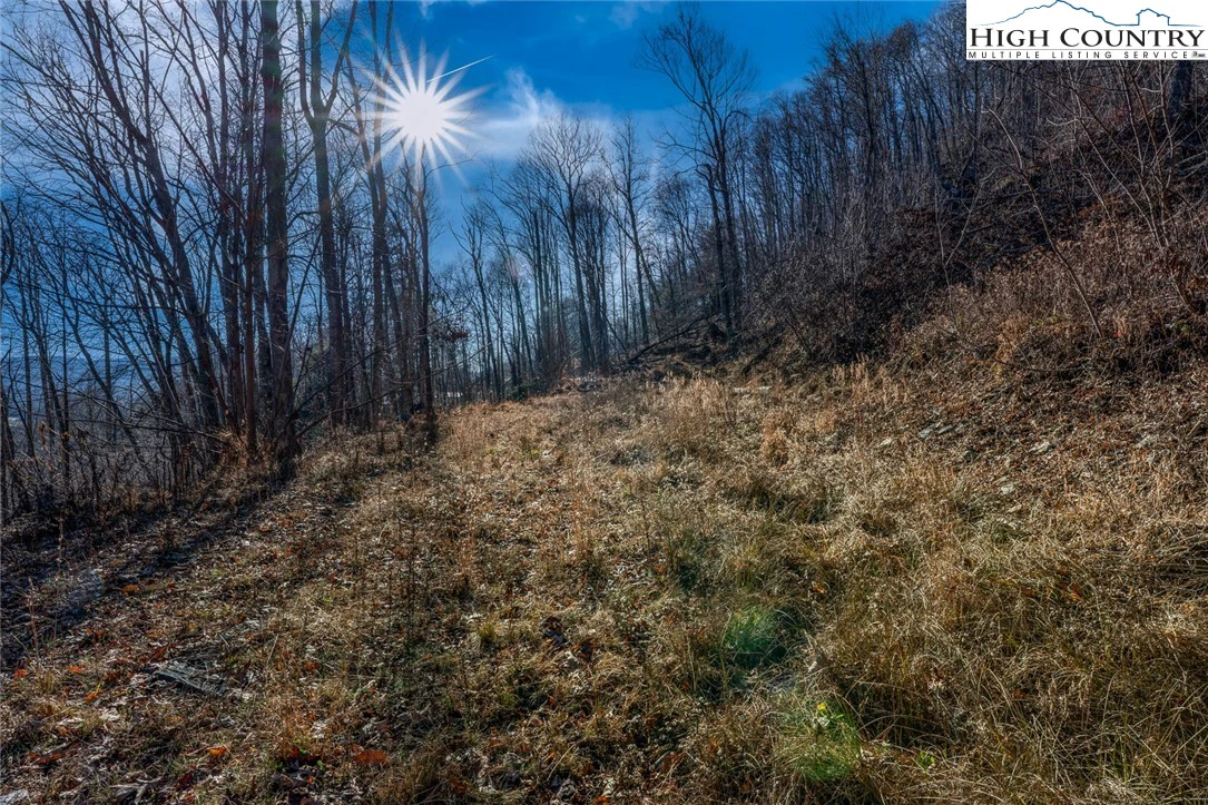 Image number 18 for the current listing