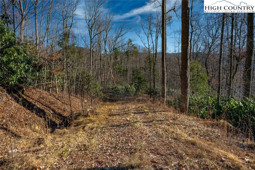 Image number 15 for the current listing