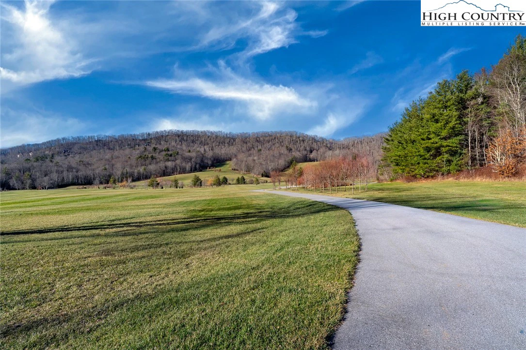 Image number 3 for the current listing