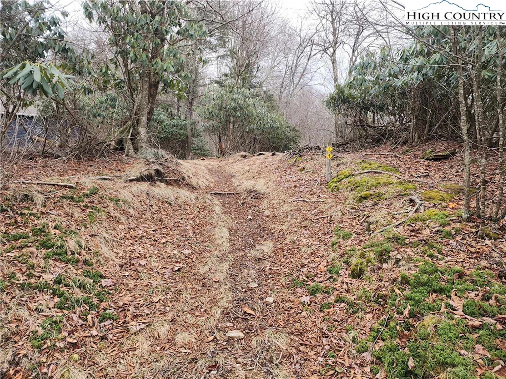 Image number 1 for the current listing