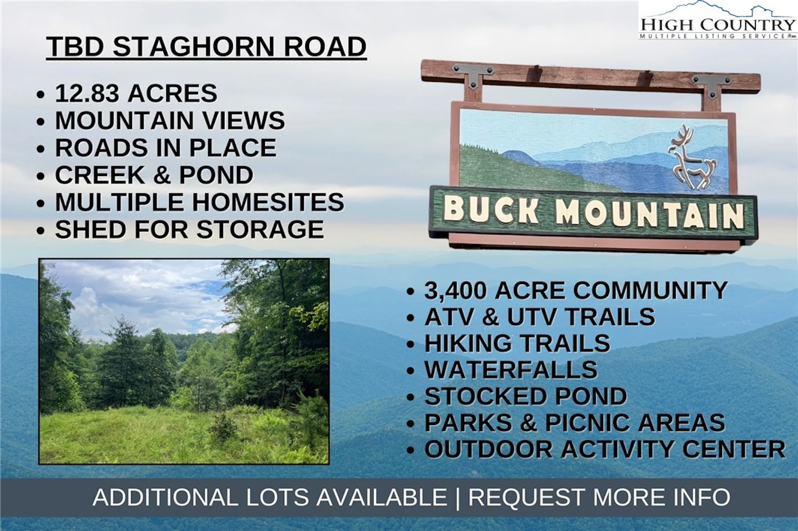Image number 1 for the current listing