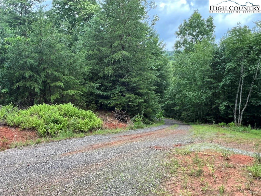 Image number 3 for the current listing