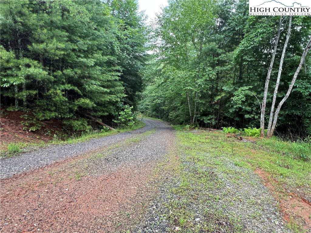 Image number 4 for the current listing
